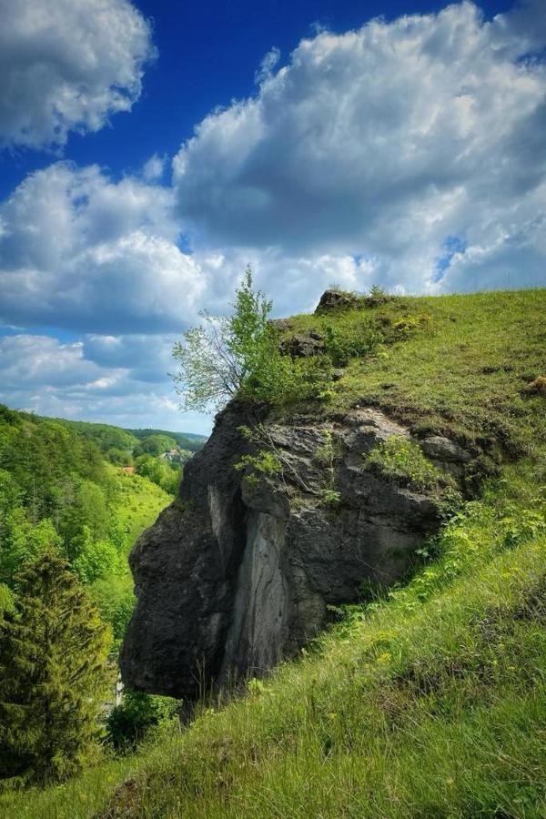 Apartmán Steinberg-Blick Herzberg am Harz Exteriér fotografie